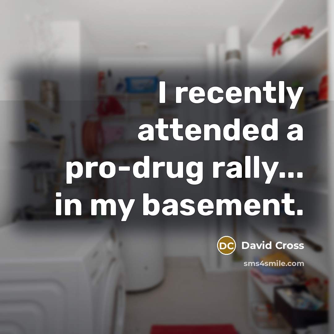 “I recently attended a pro-drug rally... in my basement.” quote by David Cross