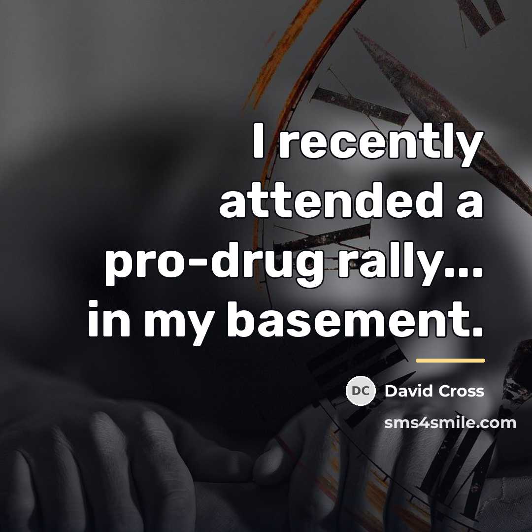 “I recently attended a pro-drug rally... in my basement.…” quote by David Cross