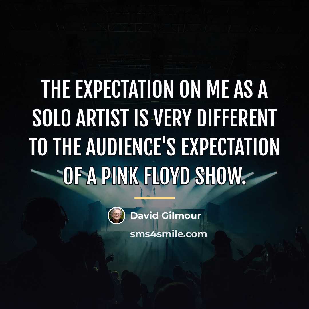 “The expectation on me as a solo artist is very…” quote by David Gilmour