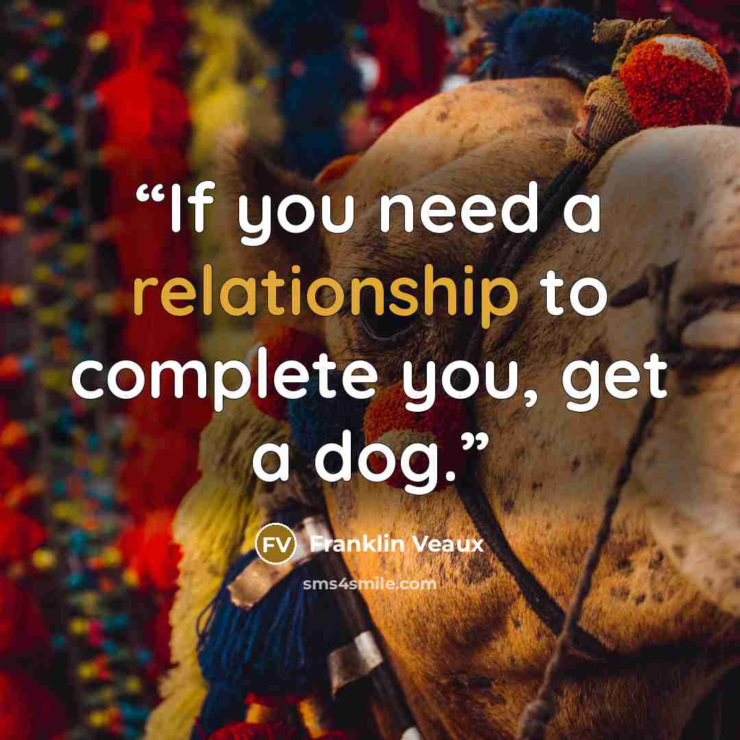 “If you need a relationship to complete you, get a dog.” quote by Franklin Veaux