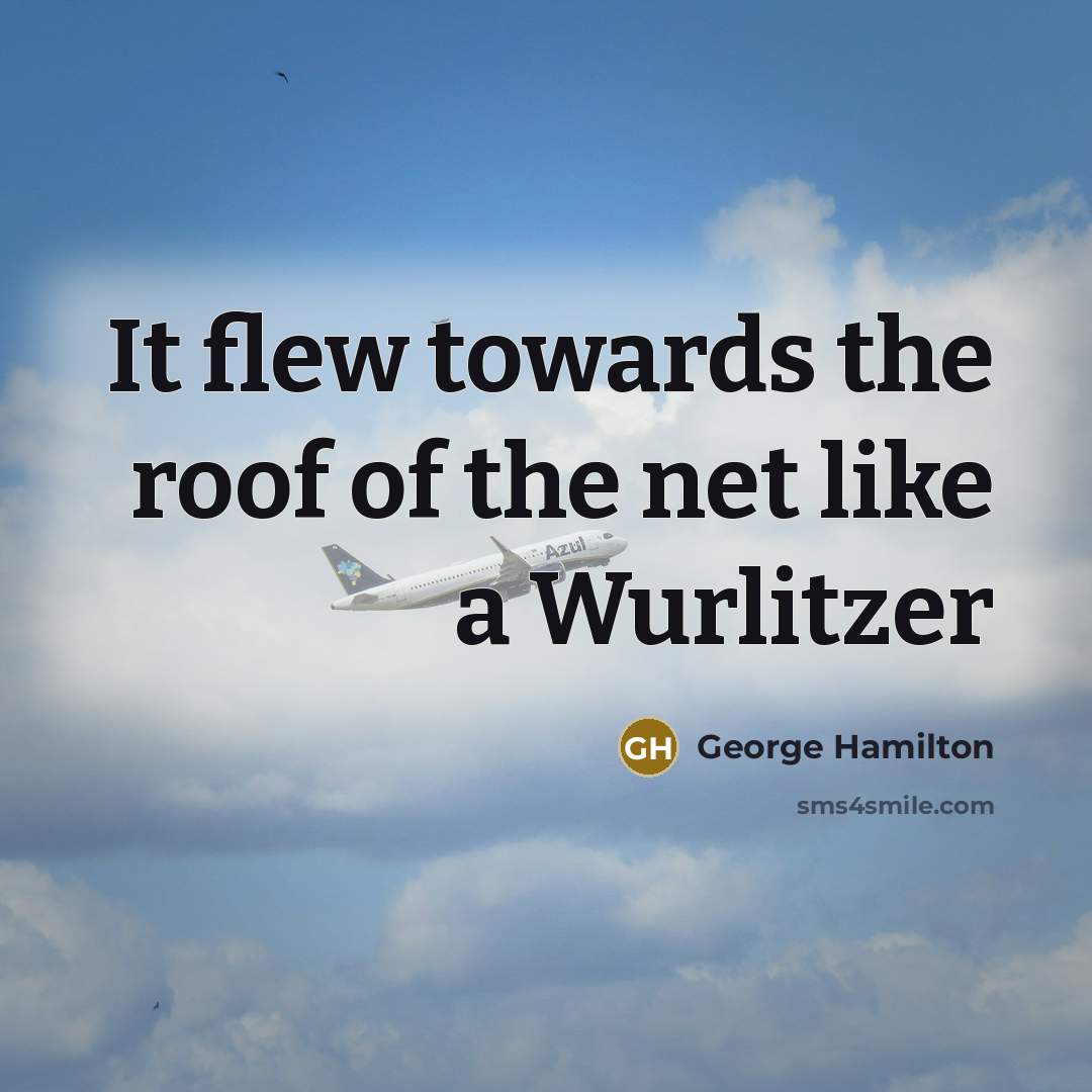 “It flew towards the roof of the net like a…” quote by George Hamilton