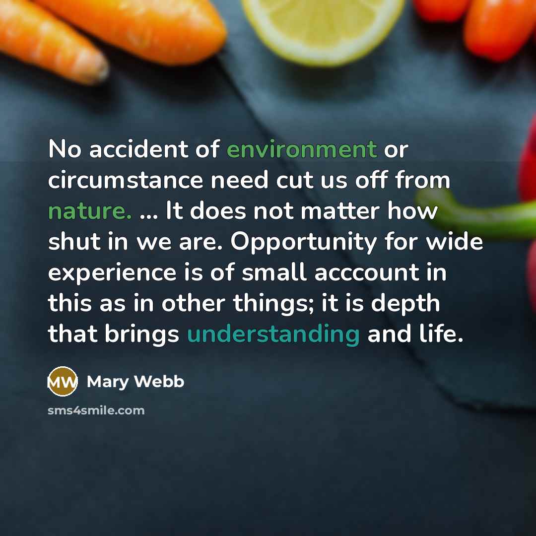 “No accident of environment or circumstance need cut us off…” quote by Mary Webb