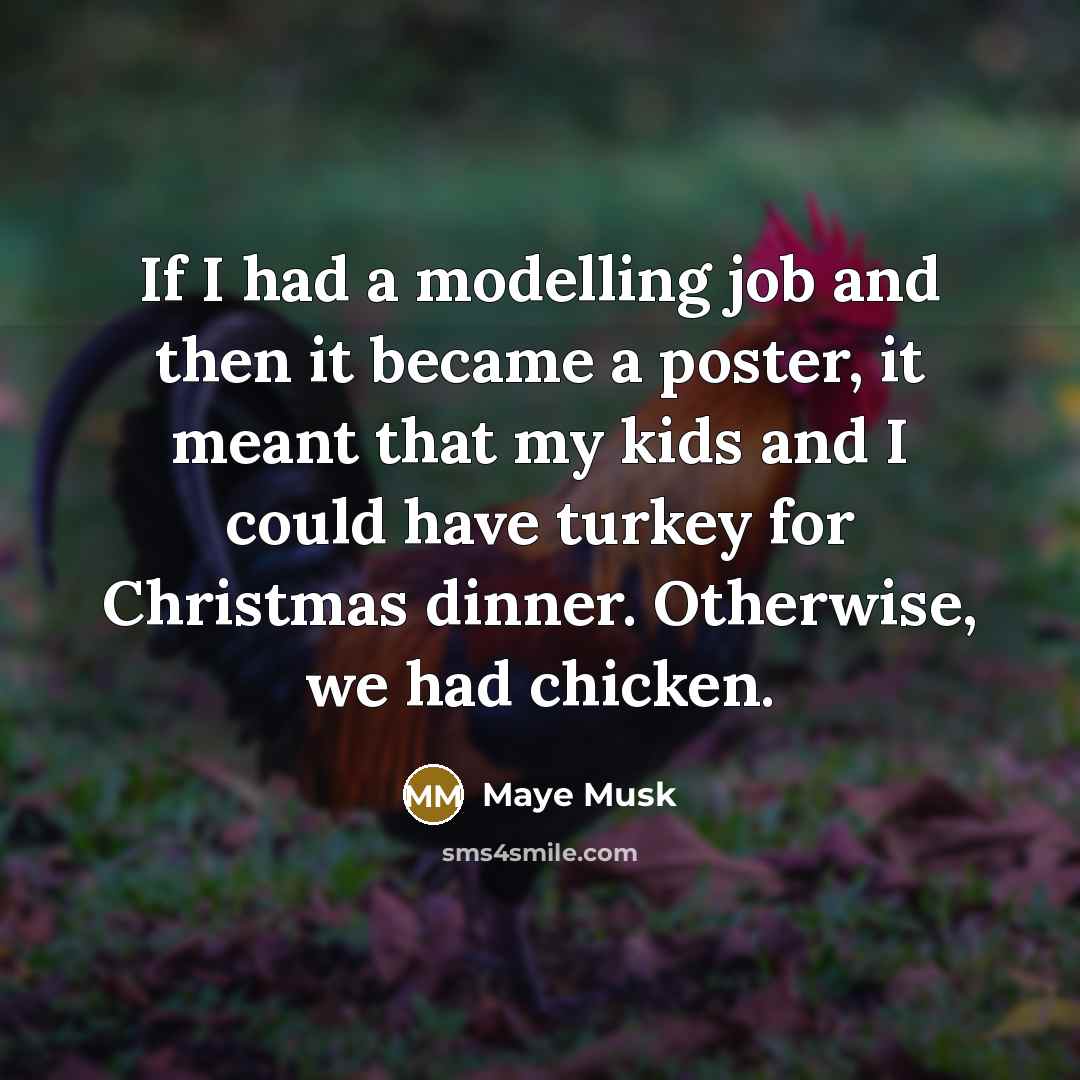 “If I had a modelling job and then it became…” quote by Maye Musk