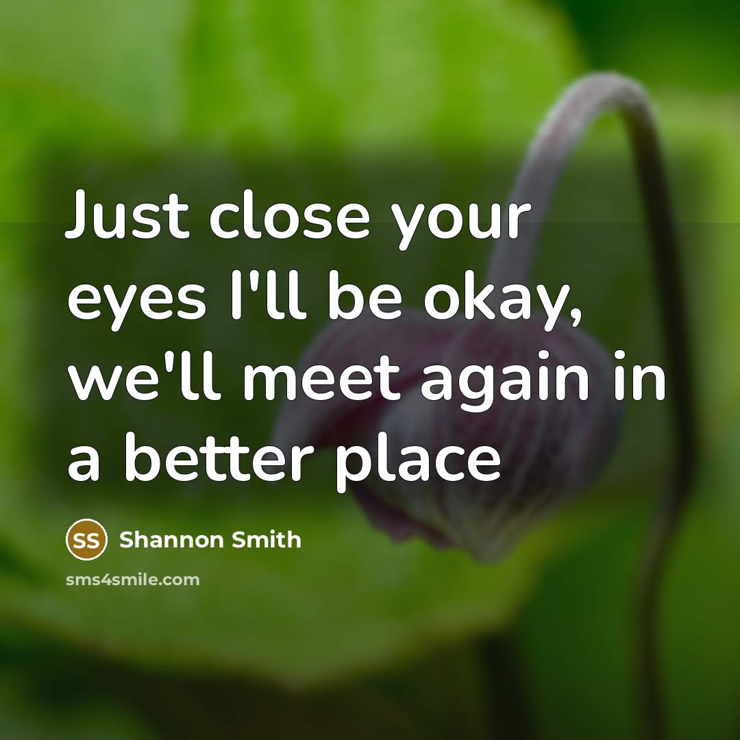 “Just close your eyes I'll be okay, we'll meet again…” quote by Shannon Smith