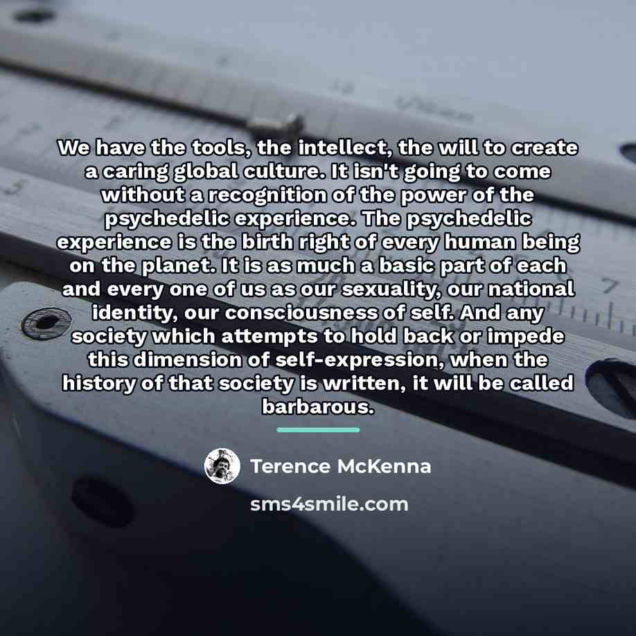 “We have the tools, the intellect, the will to create…” quote by Terence McKenna