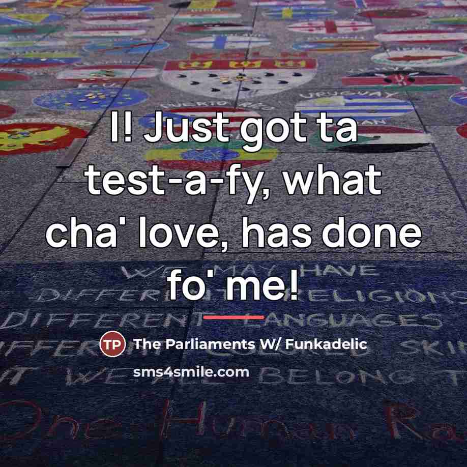 “I! Just got ta test-a-fy, what cha' love, has done…” quote by The Parliaments W/ Funkadelic