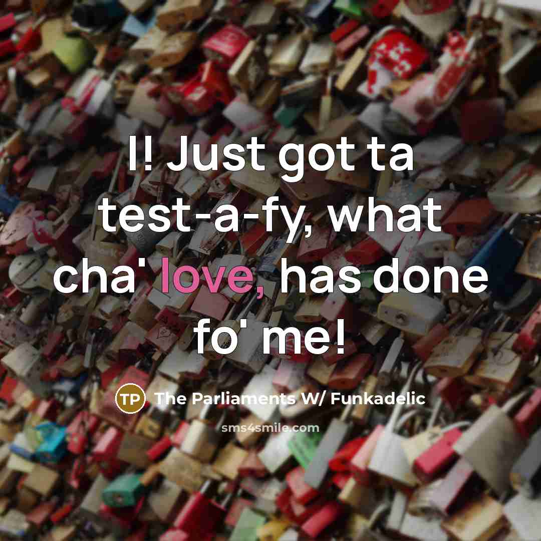 “I! Just got ta test-a-fy, what cha' love, has done fo' me!” quote by The Parliaments W/ Funkadelic