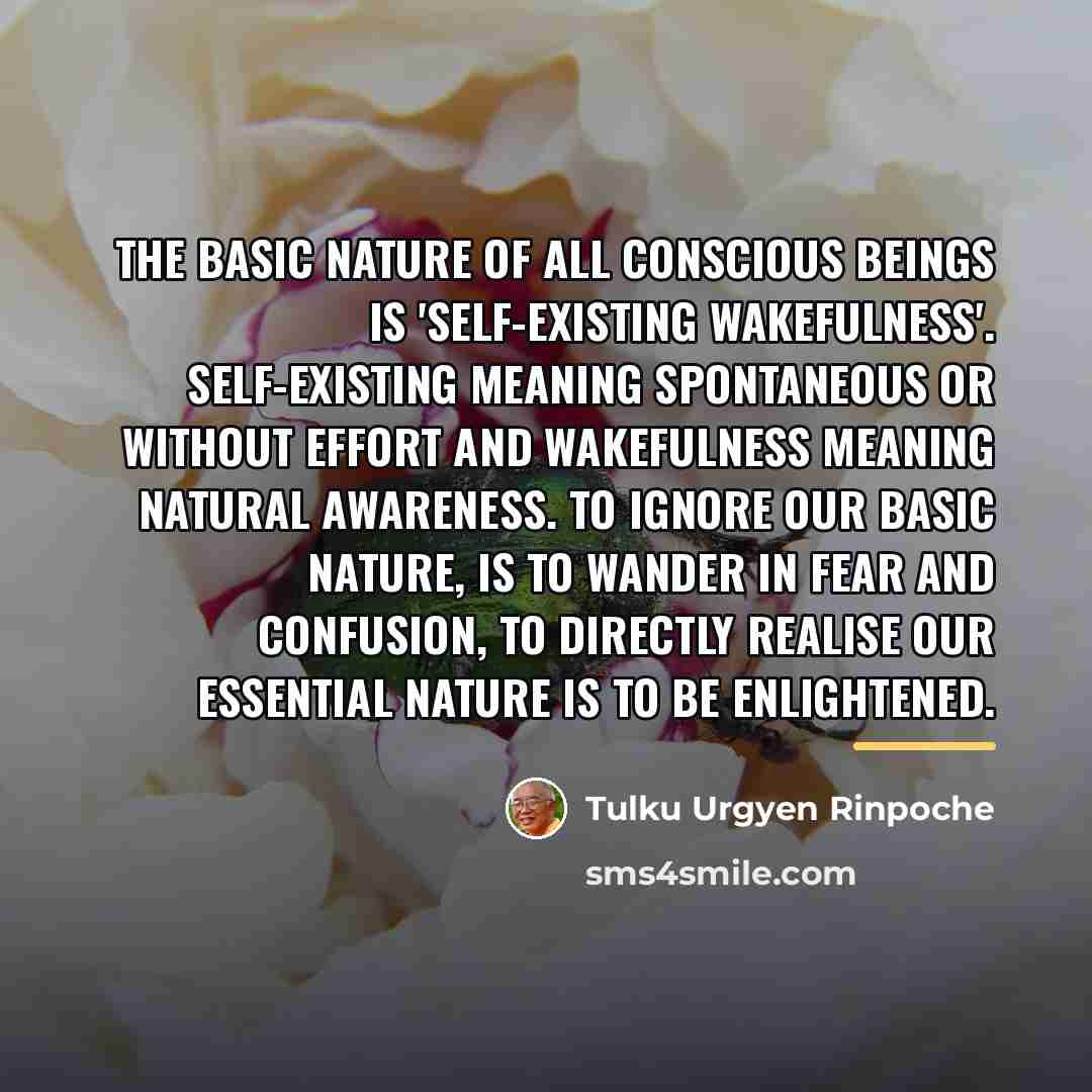 “The basic nature of all conscious beings is 'self-existing wakefulness'.…” quote by Tulku Urgyen Rinpoche