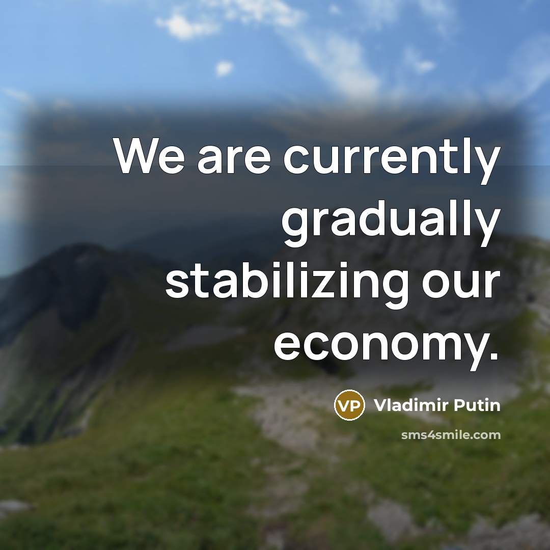 “We are currently gradually stabilizing our economy.…” quote by Vladimir Putin
