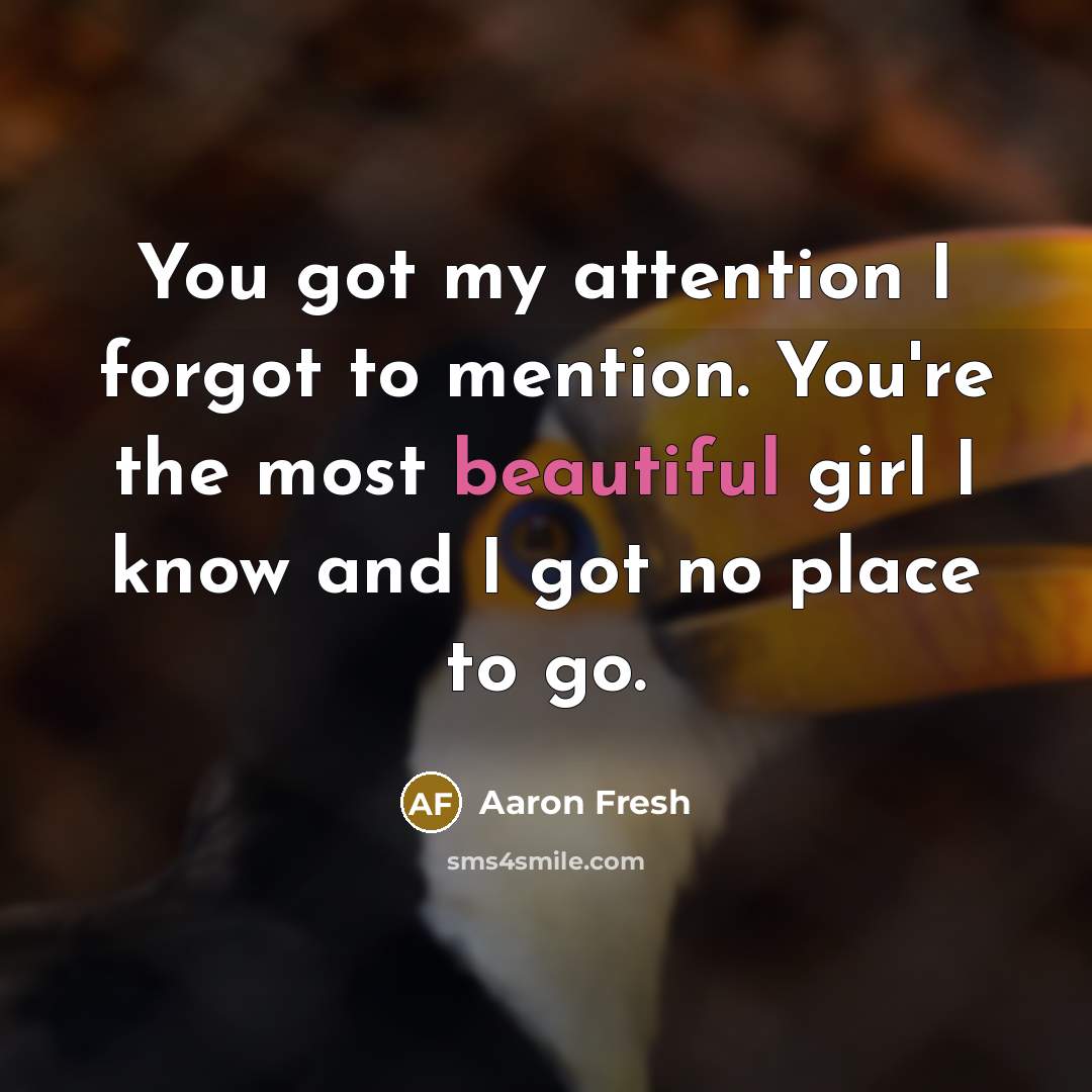 “You got my attention I forgot to mention. You're the…” quote by Aaron Fresh