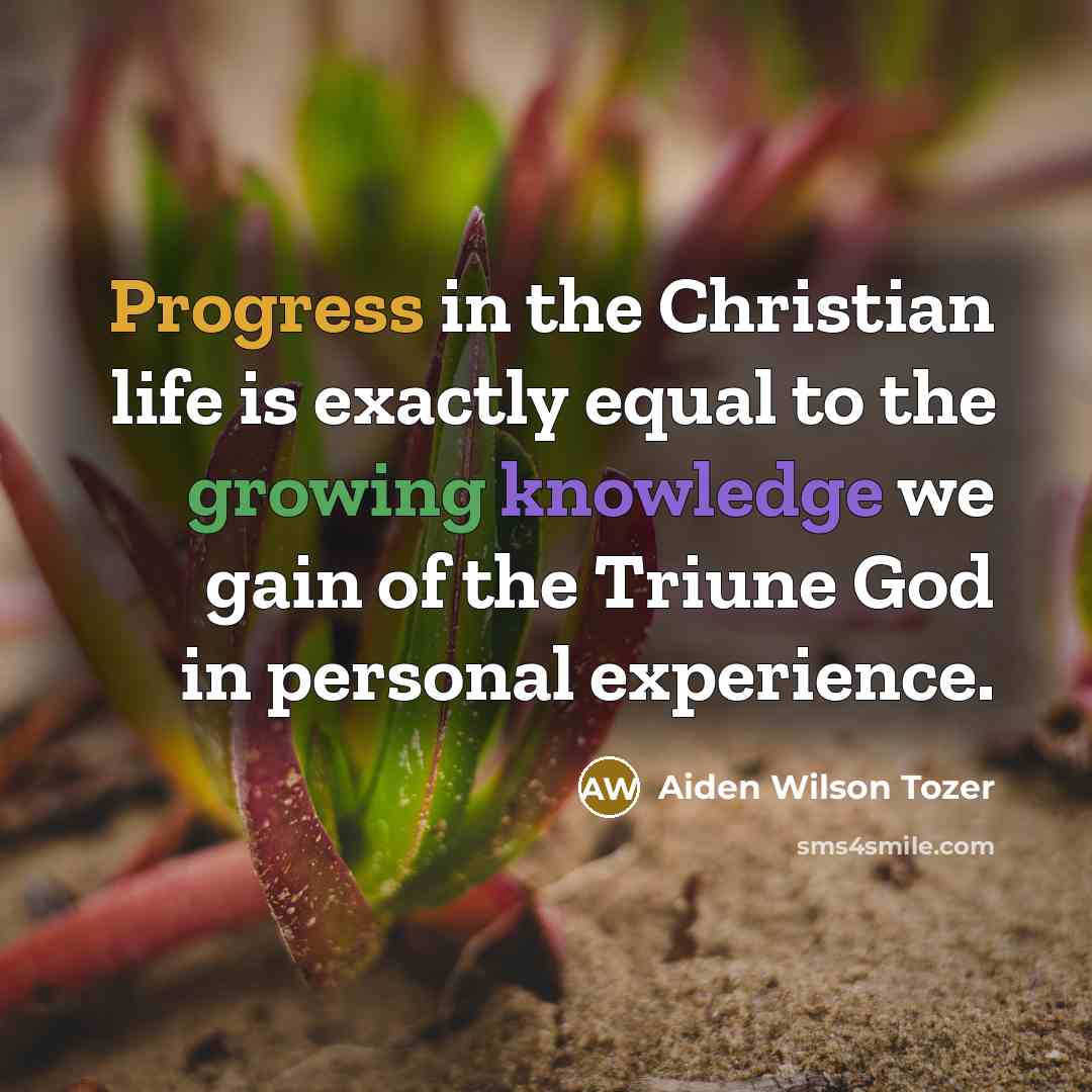 “Progress in the Christian life is exactly equal to the…” quote by Aiden Wilson Tozer