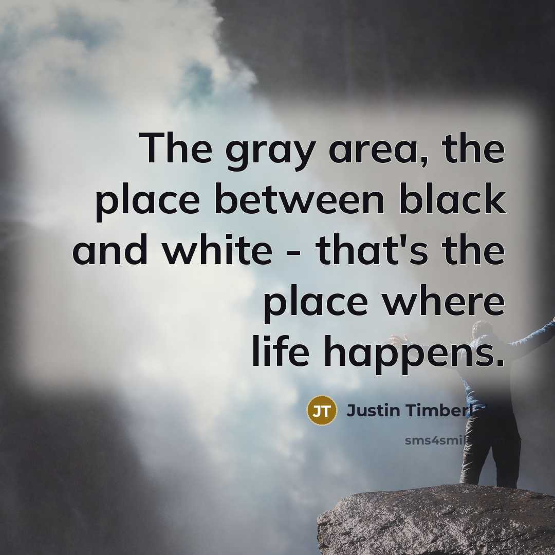 “The gray area, the place between black and white -…” quote by Justin Timberlake