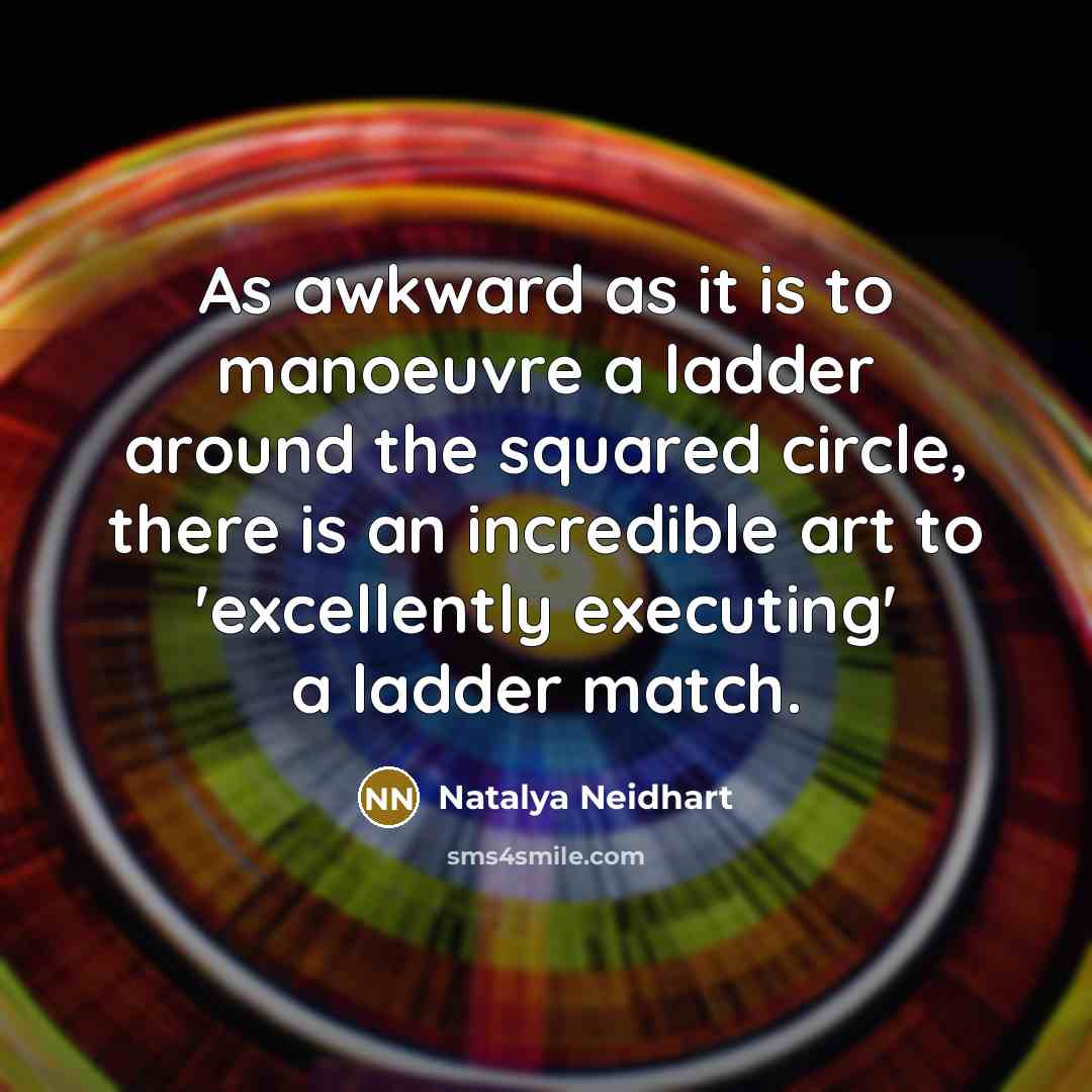 “As awkward as it is to manoeuvre a ladder around…” quote by Natalya Neidhart