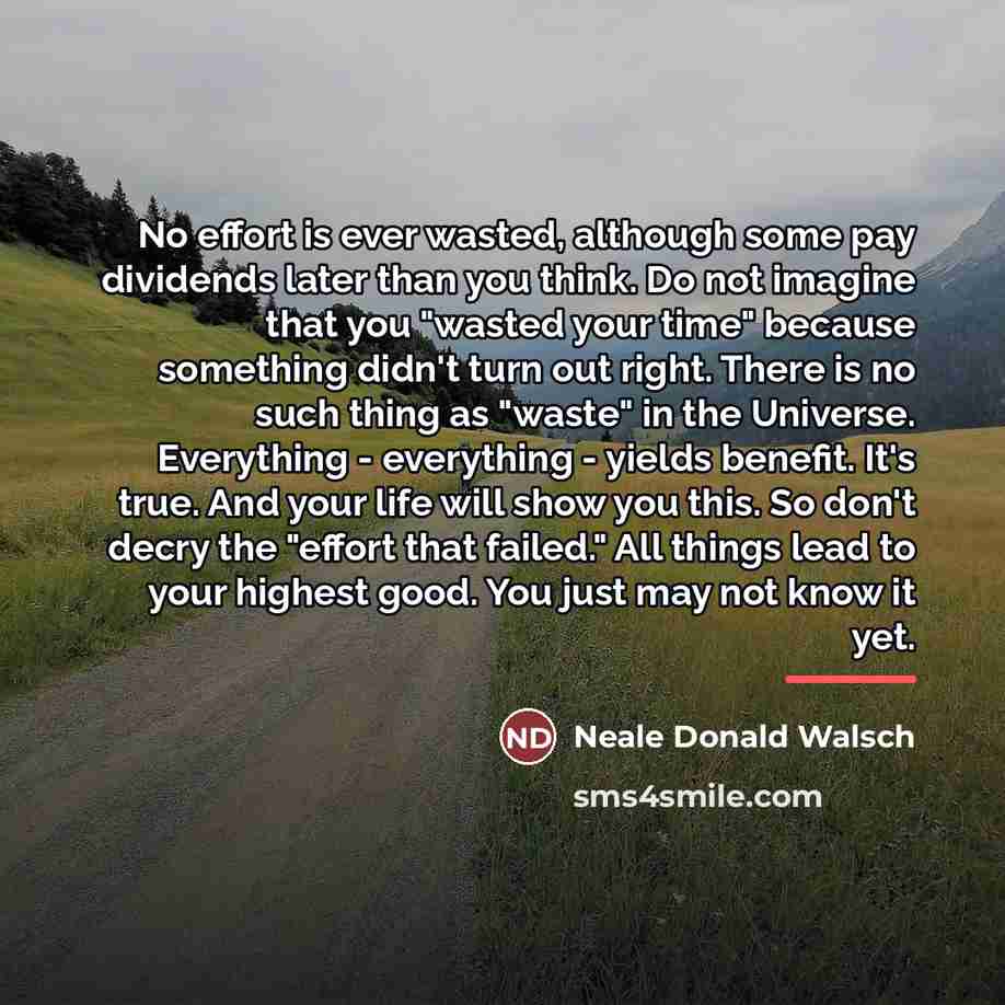 “No effort is ever wasted, although some pay dividends later…” quote by Neale Donald Walsch