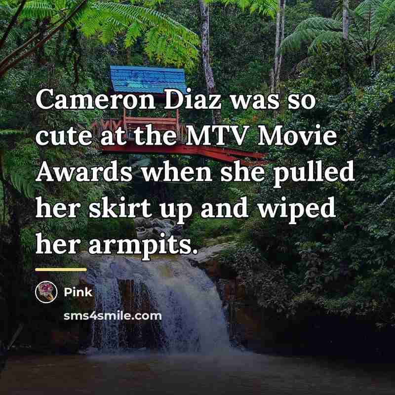 “Cameron Diaz was so cute at the MTV Movie Awards…” quote by Pink