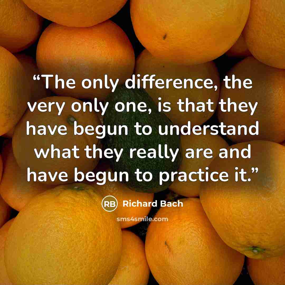 “The only difference, the very only one, is that they have begun to understand what they really are and have begun to practice it.” quote by Richard Bach