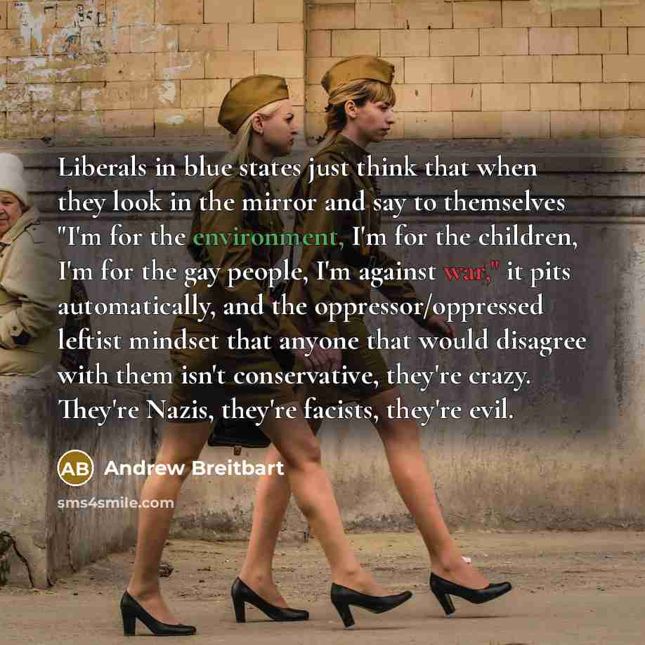 “Liberals in blue states just think that when they look…” quote by Andrew Breitbart