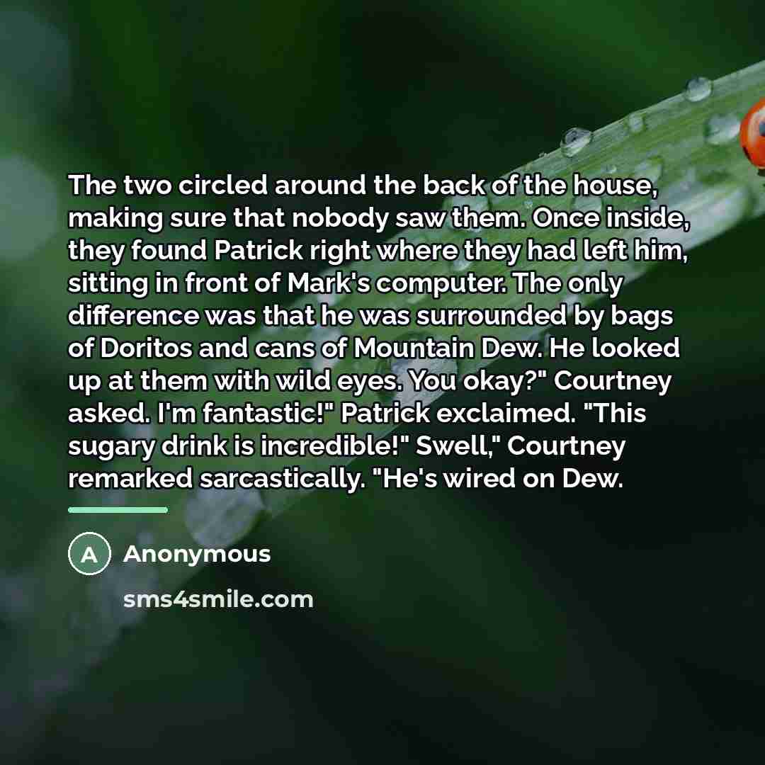 “The two circled around the back of the house, making…” quote by Anonymous