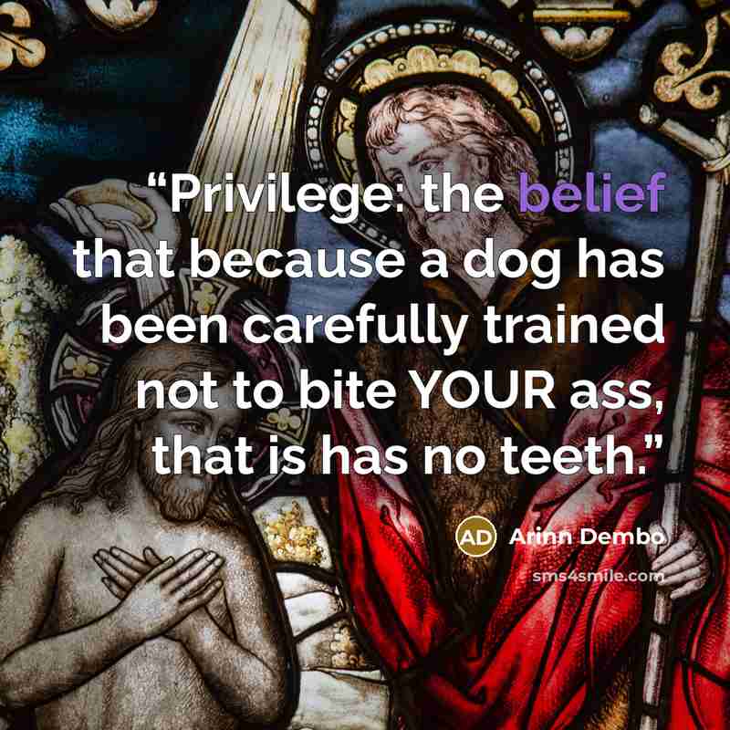 “Privilege: the belief that because a dog has been carefully trained not to bite YOUR ass, that is has no teeth.” quote by Arinn Dembo