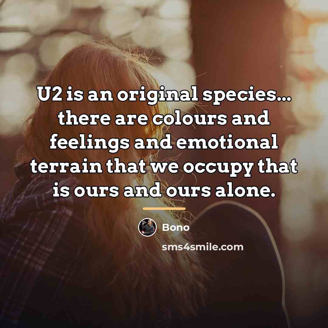 “U2 is an original species... there are colours and feelings…” quote by Bono