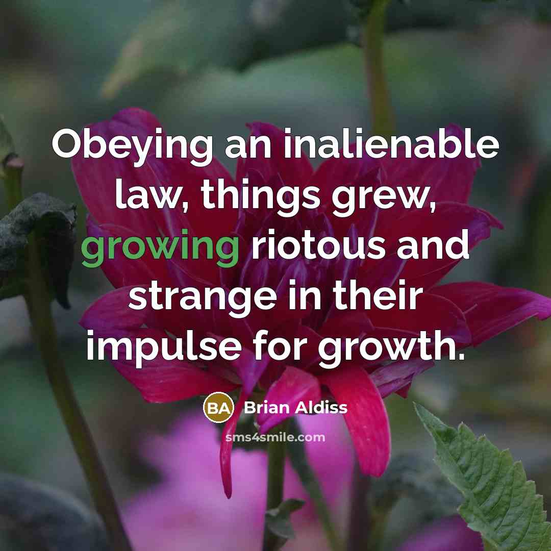 “Obeying an inalienable law, things grew, growing riotous and strange…” quote by Brian Aldiss