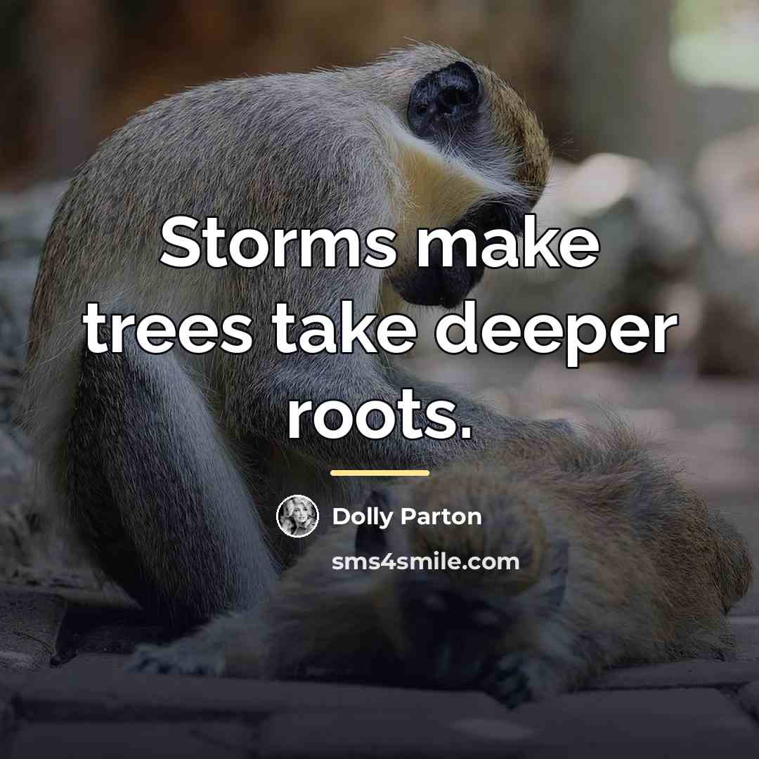 “Storms make trees take deeper roots.…” quote by Dolly Parton