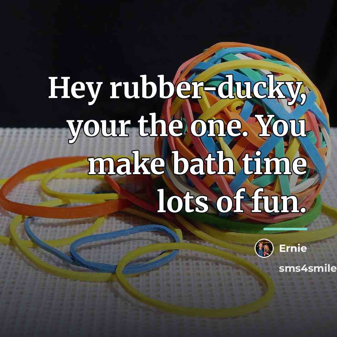 “Hey rubber-ducky, your the one. You make bath time lots…” quote by Ernie