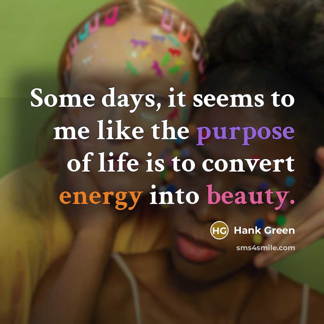 “Some days, it seems to me like the purpose of…” quote by Hank Green