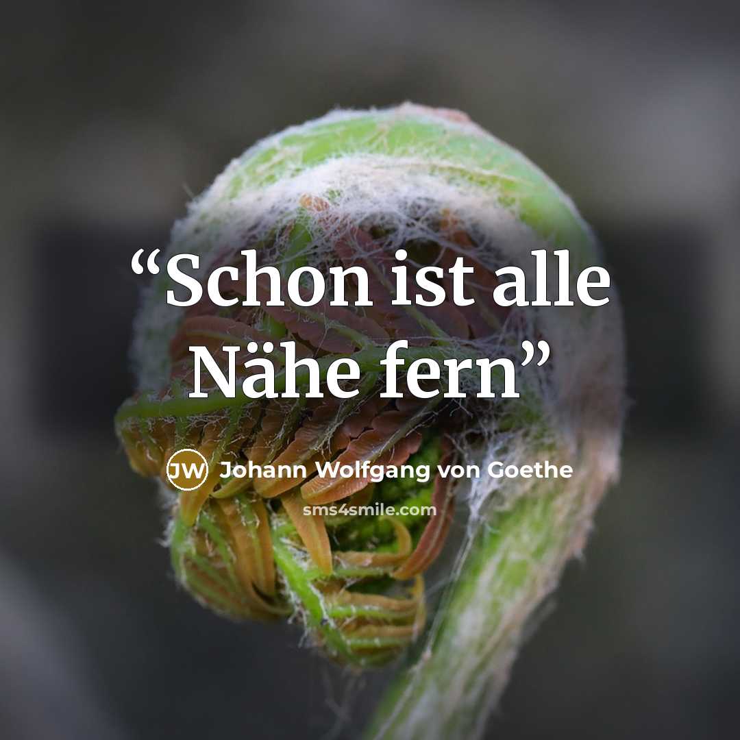 “Schon ist alle Nähe fern” quote by Johann Wolfgang von Goethe