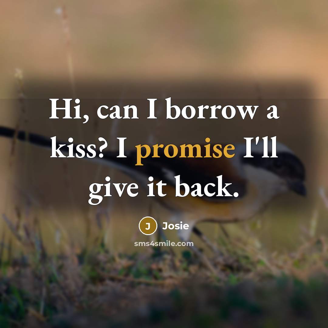 “Hi, can I borrow a kiss? I promise I'll give it back.” quote by Josie