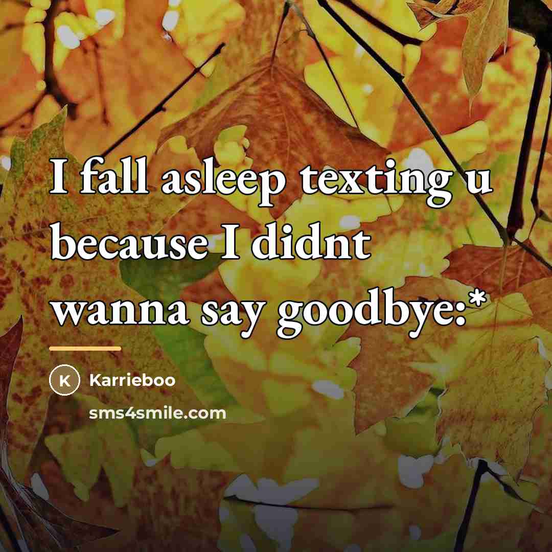 “I fall asleep texting u because I didnt wanna say…” quote by Karrieboo
