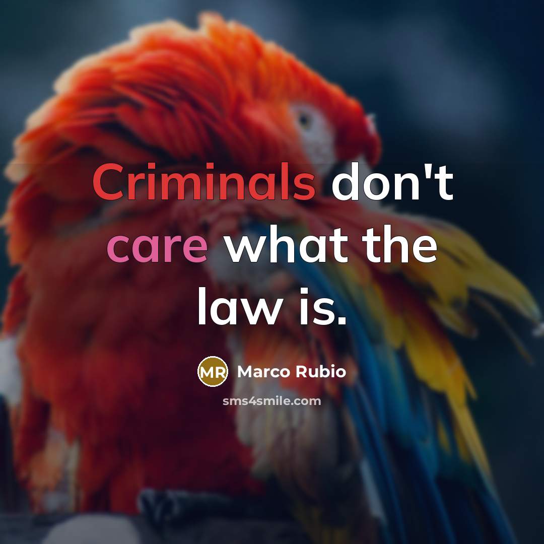 “Criminals don't care what the law is.…” quote by Marco Rubio