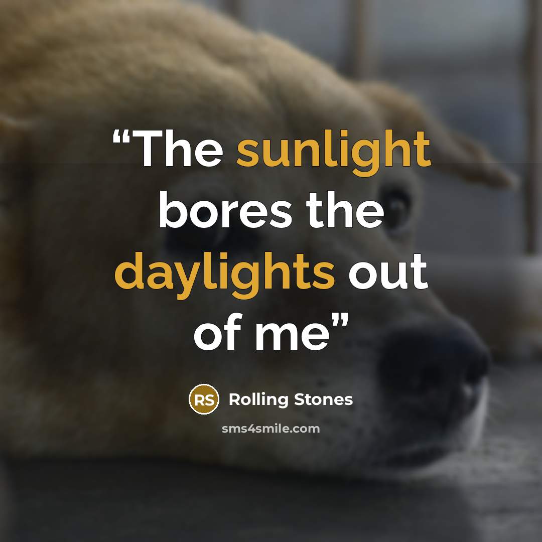 “The sunlight bores the daylights out of me” quote by Rolling Stones