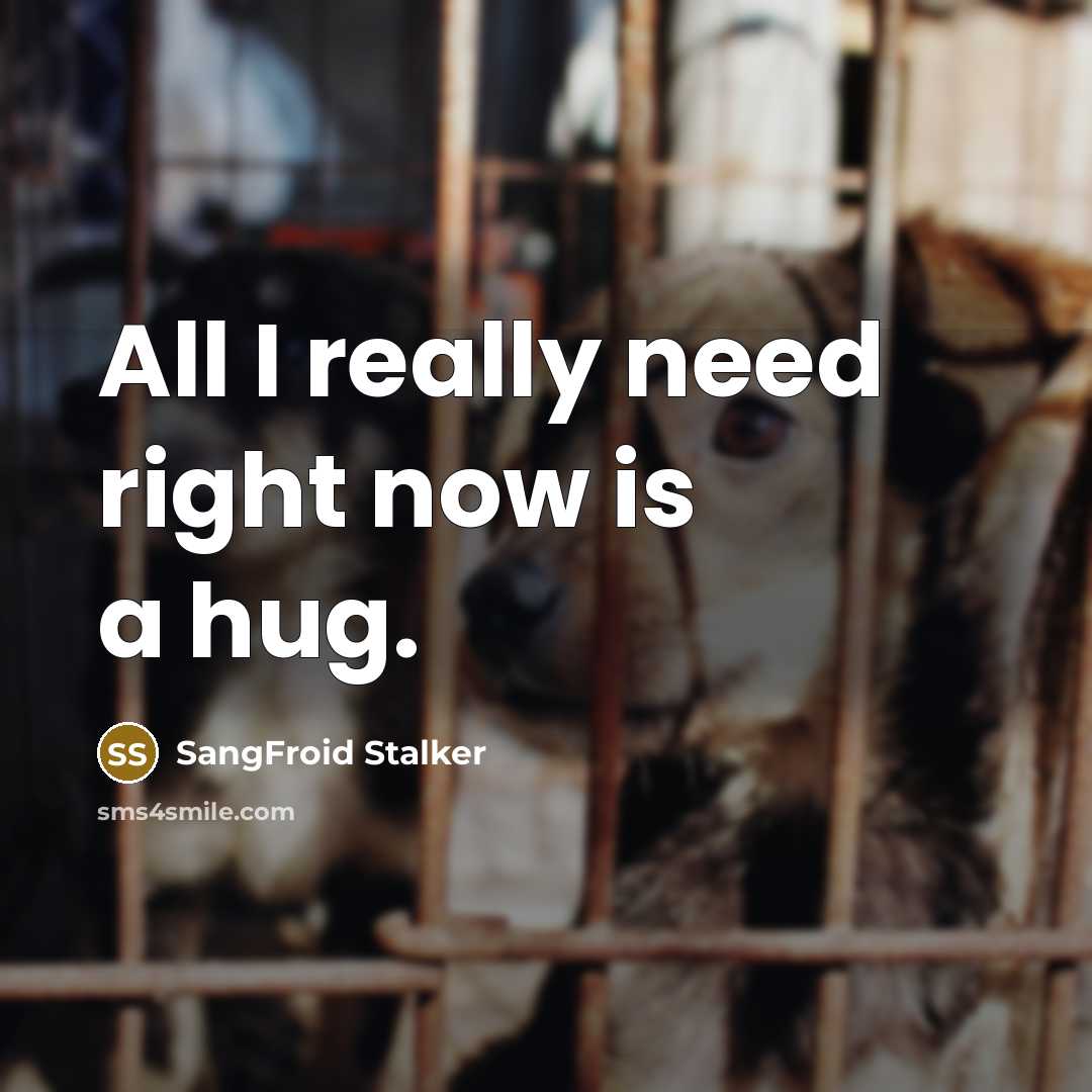 “All I really need right now is a hug.…” quote by SangFroid Stalker