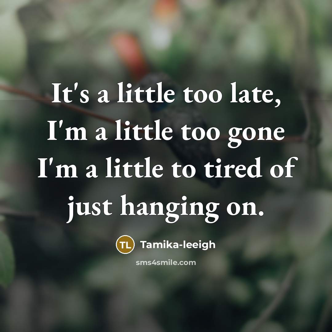 “It's a little too late, I'm a little too gone…” quote by Tamika-leeigh
