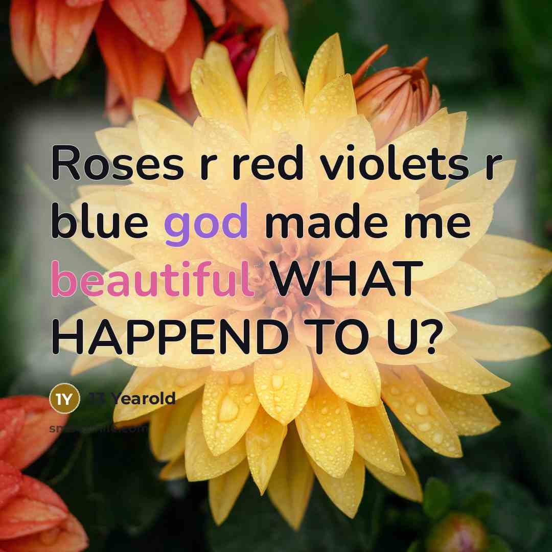 “Roses r red violets r blue god made me beautiful WHAT HAPPEND TO U?” quote by 13 Yearold