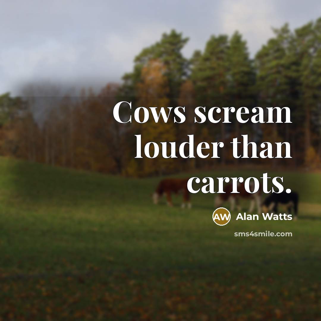 “Cows scream louder than carrots.…” quote by Alan Watts