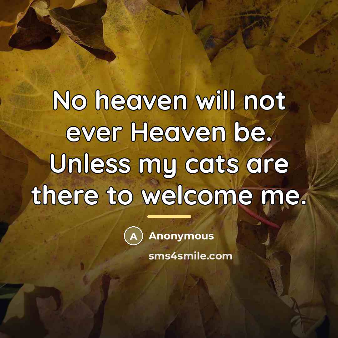 “No heaven will not ever Heaven be. Unless my cats…” quote by Anonymous