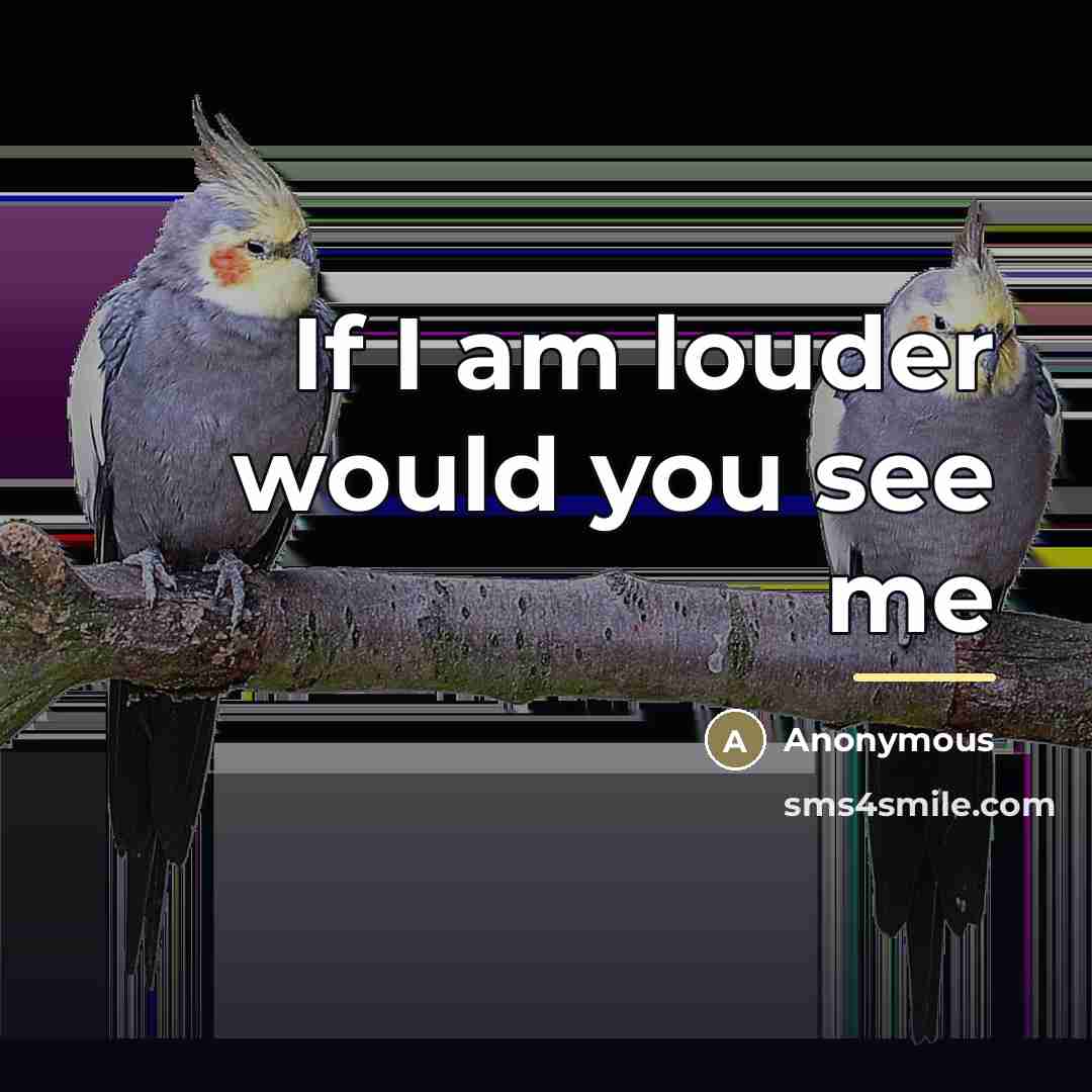 “If I am louder would you see me…” quote by Anonymous