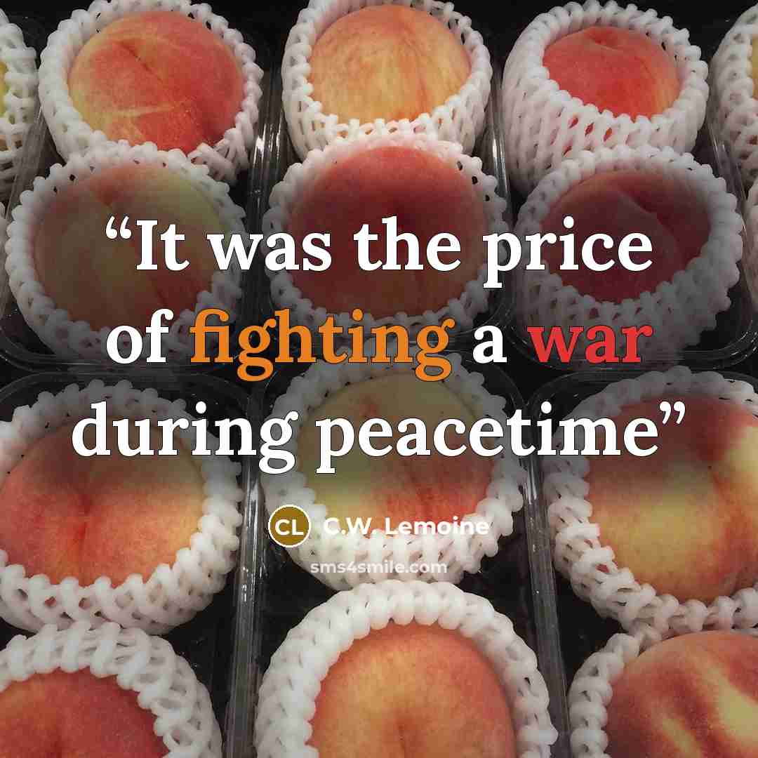 “It was the price of fighting a war during peacetime” quote by C.W. Lemoine