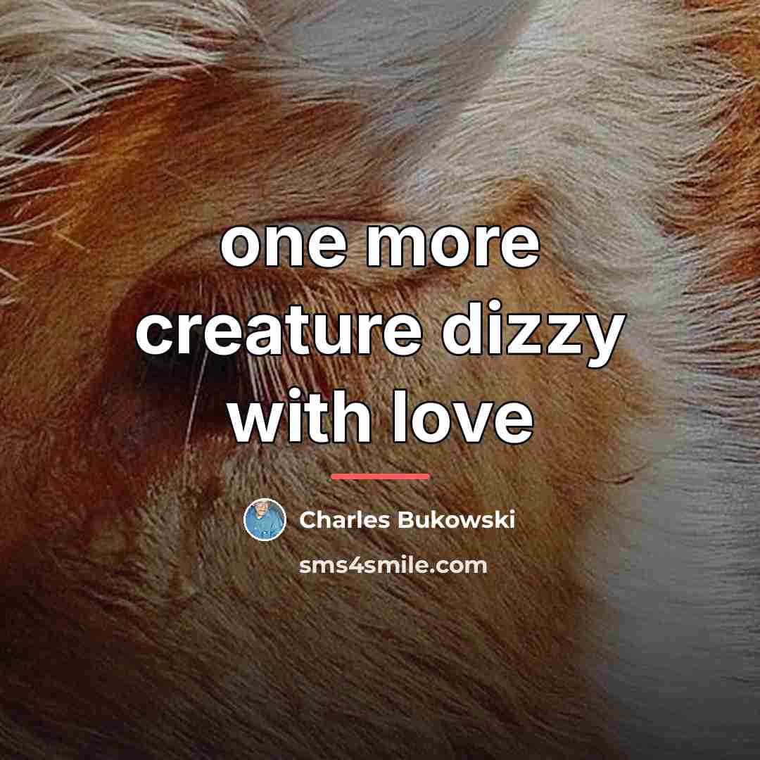 “one more creature dizzy with love…” quote by Charles Bukowski