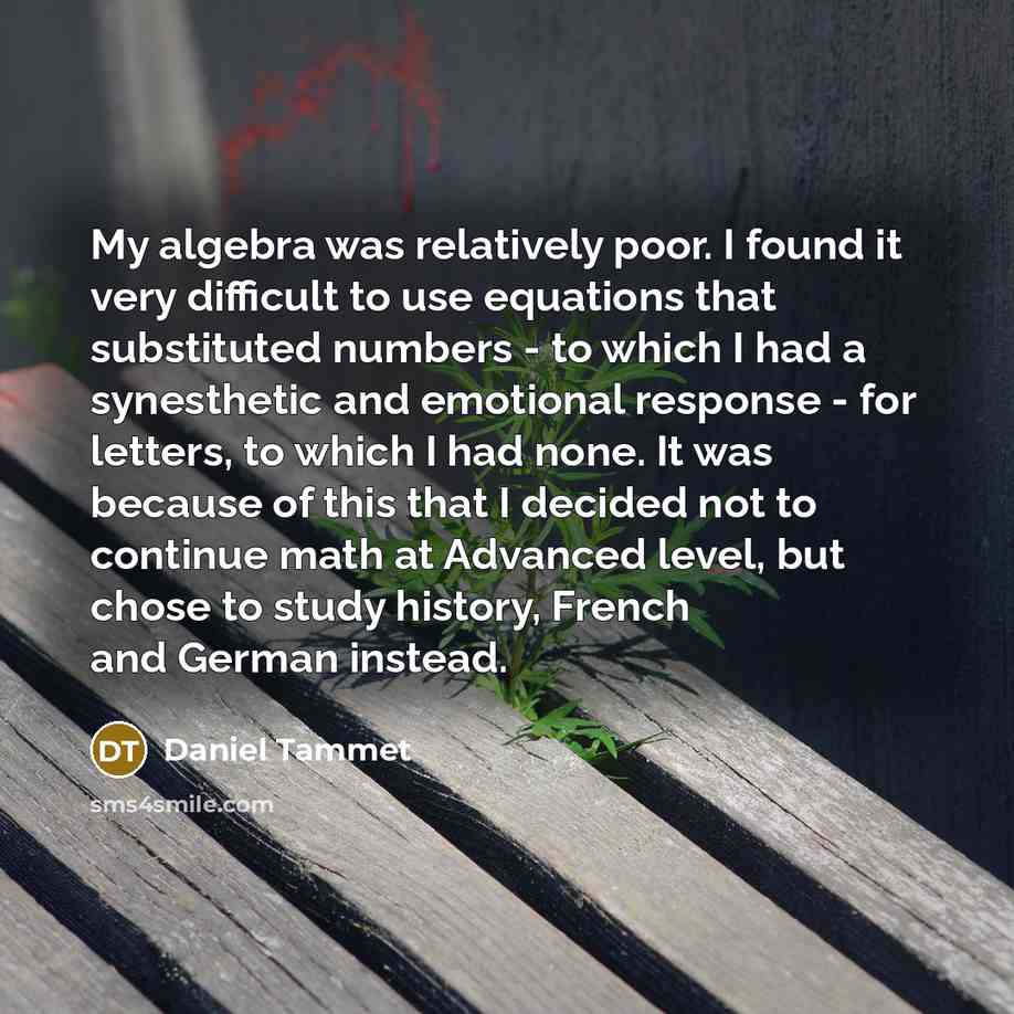 “My algebra was relatively poor. I found it very difficult…” quote by Daniel Tammet