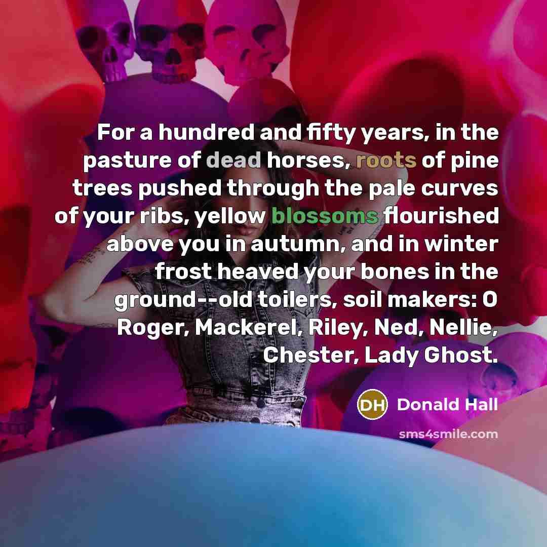 “For a hundred and fifty years, in the pasture of…” quote by Donald Hall