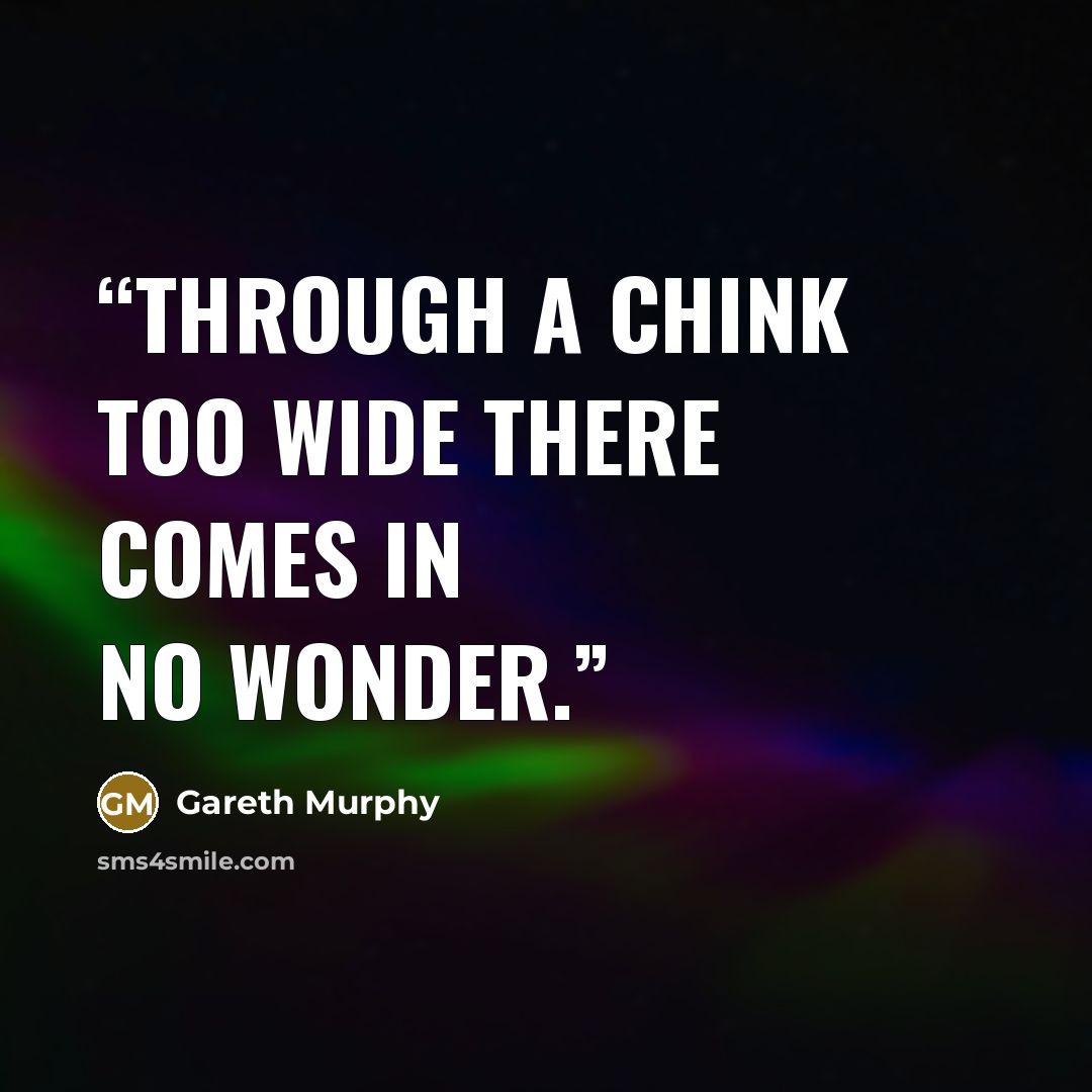 “Through a chink too wide there comes in no wonder.” quote by Gareth Murphy