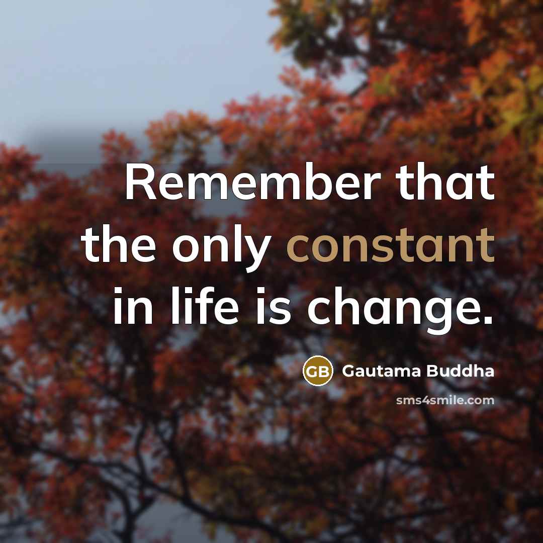 “Remember that the only constant in life is change.…” quote by Gautama Buddha