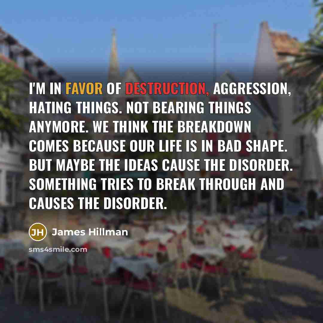 “I'm in favor of destruction, aggression, hating things. Not bearing…” quote by James Hillman