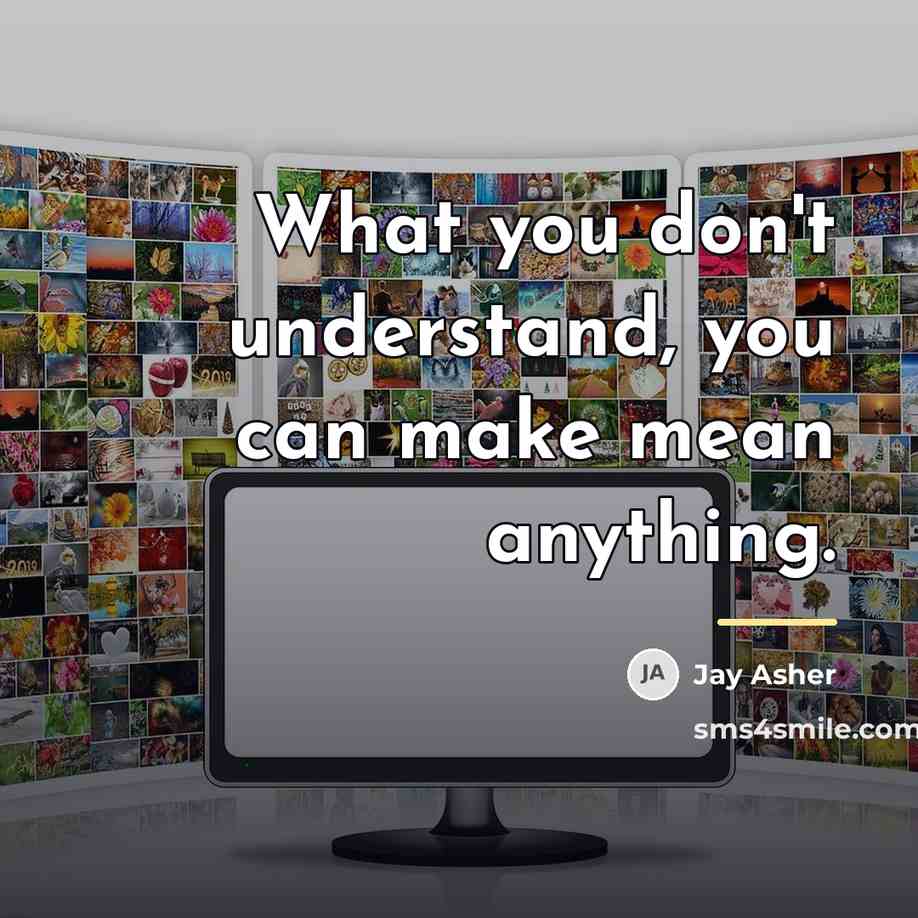 “What you don't understand, you can make mean anything.…” quote by Jay Asher