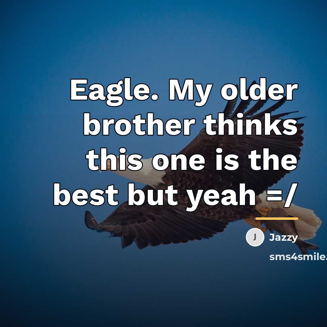 “Eagle. My older brother thinks this one is the best…” quote by Jazzy