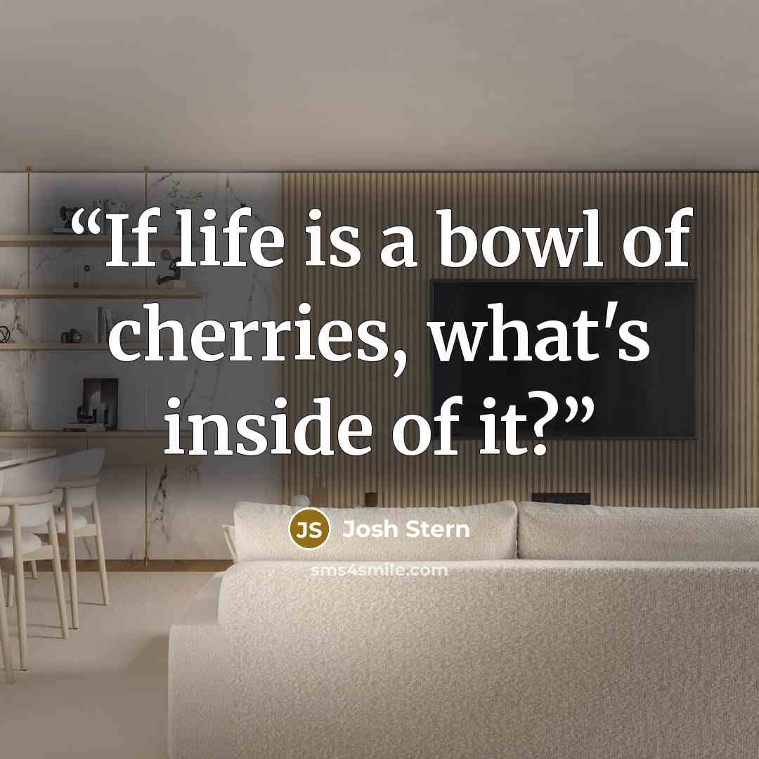 “If life is a bowl of cherries, what's inside of it?” quote by Josh Stern