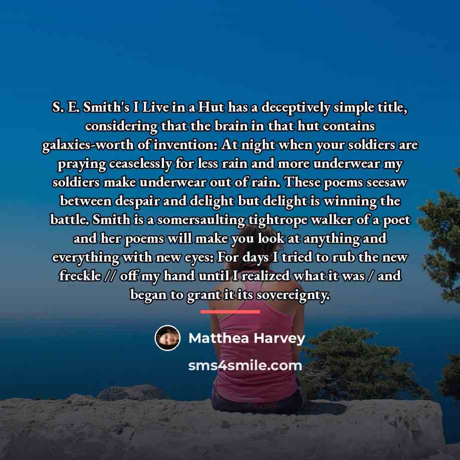 “S. E. Smith's I Live in a Hut has a…” quote by Matthea Harvey